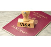 Assistance pour obtention de visa